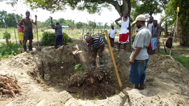 Removing a tree stump and roots so that the ground can be leveled for streets between individual plots at the reclamation.